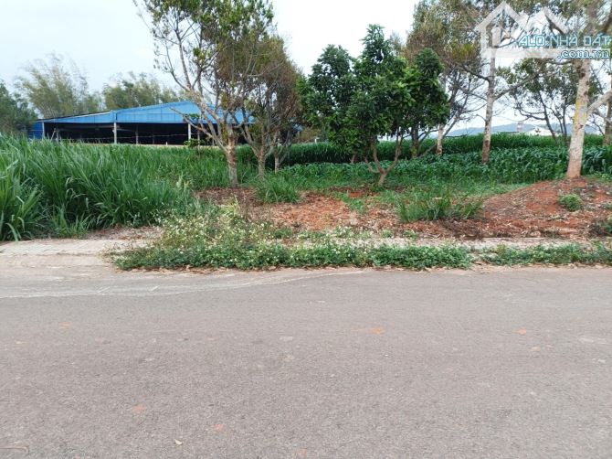 Cần bán đất ven sông xã Hiệp Thạnh giá rẻ - 4