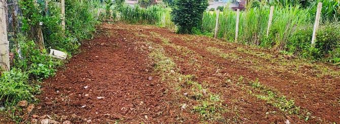 Cần bánh gấp 500m2 giá rẻ xã Hiệp Thạnh trong tháng - 1