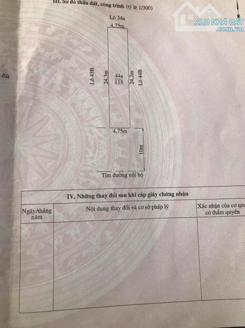 Bán đất TĐC dứa rẻ nhất hải phòng . 115m đường 20m ngay ngoài - 1