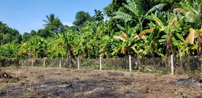 Bán lô đất giá đầu tư, gần Đường Võ Nguyên Giáp tại Diên An, Diên Khánh, Khánh Hòa - 2