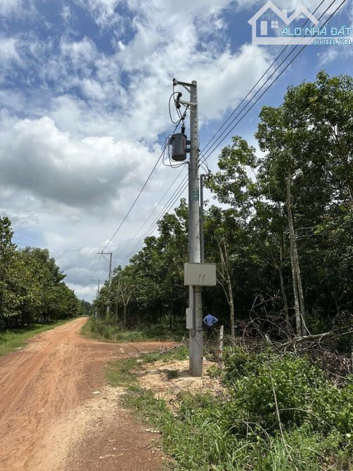 Bán đất Long Nguyên - Bàu Bàng. DT 2Ha - 4