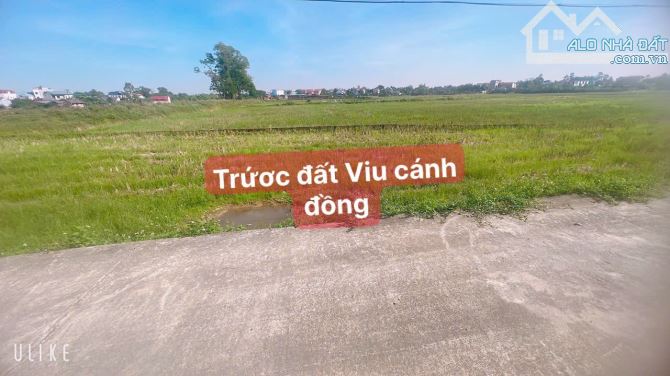 Mở bán lô đất đẹp 63 m tại Tân minh sóc Sơn Hà Nội lh e để biết thông tin xem đất và chốt - 3