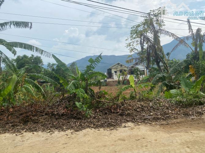 Lô đất 2200m , bám 2 mặt đường to rộng, xung quanh là home stay chủ cần tiền bán nhanh - 4