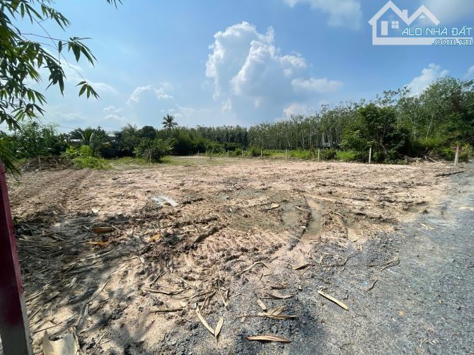 Bán đất đường xe tải xã An Nhơn Tây Củ Chi TP HCM, DT: 20x50m.