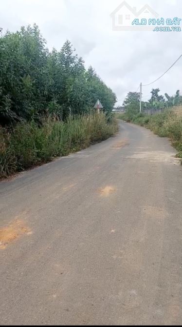 Cần bán 19.000m2 mặt tiền đường nhựa giá cực mềm - 1