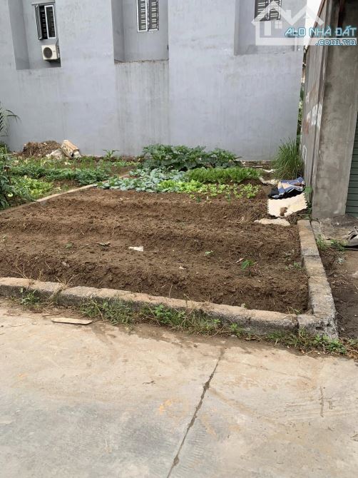 Chuyển nhượng hàng khủng đẹp ngay tuyến 2 trục đường Quỳnh Hoàng - 1