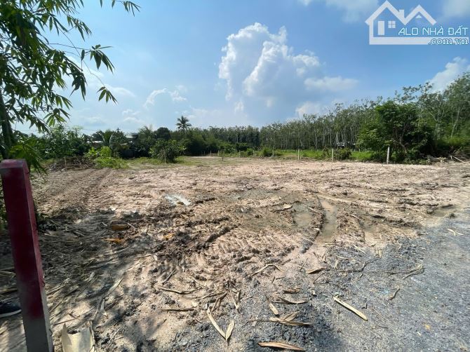 Bán đất đường xe tải xã An Nhơn Tây Củ Chi TP HCM, DT: 20x50m. - 1