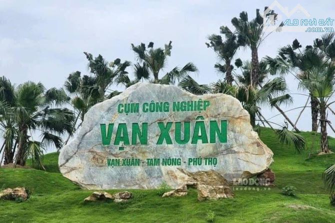 Chính chủ chuyển nhượng lô Đất Thọ Văn Tam Nông Phú Thọ giá 800tr - 2