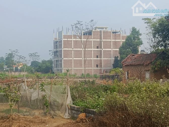 Rẻ Đẹp Đường Thông ở Sen Trì, giá rẻ hơn thị trường vài giá khu cnc HÒA LẠC - 2