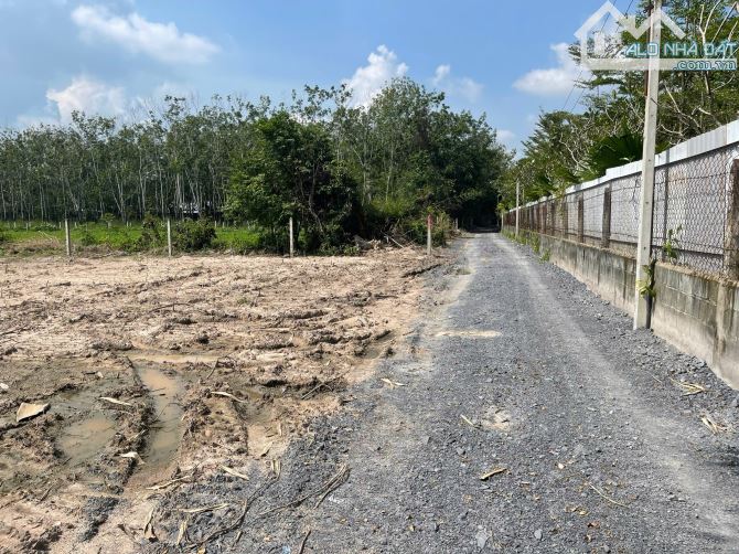 Bán đất đường xe tải xã An Nhơn Tây Củ Chi TP HCM, DT: 20x50m. - 3