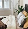 CĂN VILLA 4 TẦNG HOÀN CÔNG MẶT TIỀN ĐƯỜNG TRUNG TÂM PHƯỜNG 8