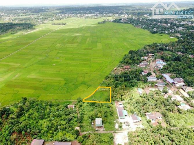 BÁN 4,5 SÀO EAPOK (CÓ 300m2 THỔ CƯ )- Buôn Mấp - VIEW RUỘNG + NHÀ GỖ CHILL