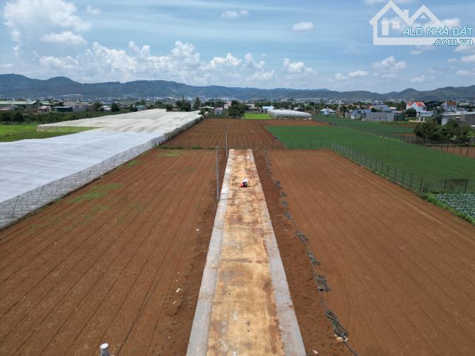 🌐🌐 Đất Nền Thị Trấn Liên Nghĩa  Diện Tích: 44 x 20 - 200m2 Đất Thổ Cư - Đường Bê Tông 7m