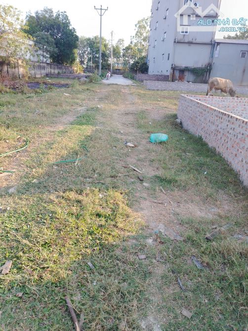 150M ĐẤT XUÂN BÁCH QUANG TIẾN SÓC SƠN HÀ NỘI NGÕ ô tô tránh - 1