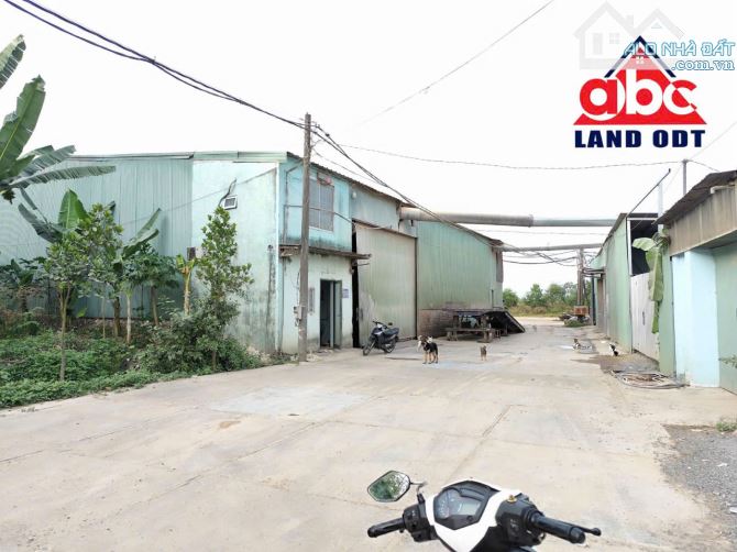 BÁN ĐẤT SỔ RIÊNG ĐƯỜNG LỚN XÃ HỐ NAI 3. TRẢNG BOM. 1432m2.  Cách QL1a 1km, Giá chỉ 3ty - 1