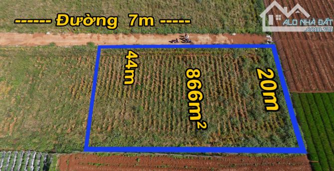 🌐🌐 Đất Nền Thị Trấn Liên Nghĩa  Diện Tích: 44 x 20 - 200m2 Đất Thổ Cư - Đường Bê Tông 7m - 1