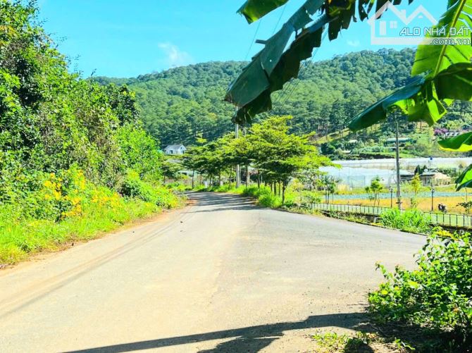 Bán đất view đẹp sát suối ngay chân đèo Pren Đà Lạt, cách Quốc Lộ 20 khoảng 50m - 1