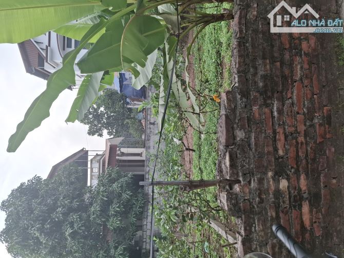 Bân đất Liên Nghĩa Văn Giang Hưng Yên Dt : 346m2 * 13,9m * 7,960 tỷ - 1