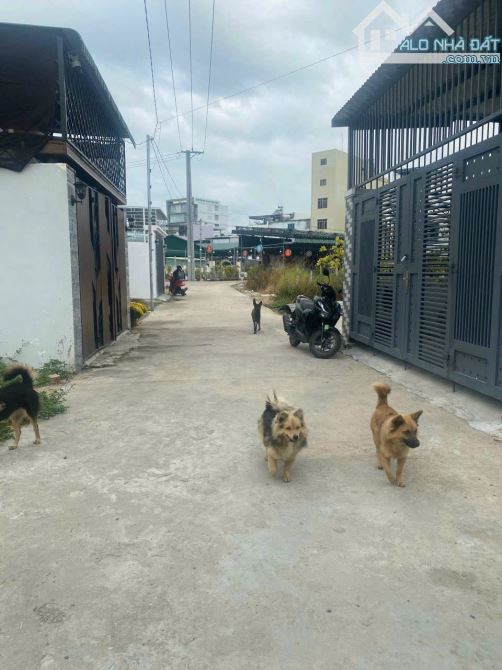 CẦN BÁN LÔ ĐẤT HẺM CẦU DỨA NGAY LÀNG YẾN MAI SINH, TP NHA TRANG GIÁ 1,4 TỶ - 2