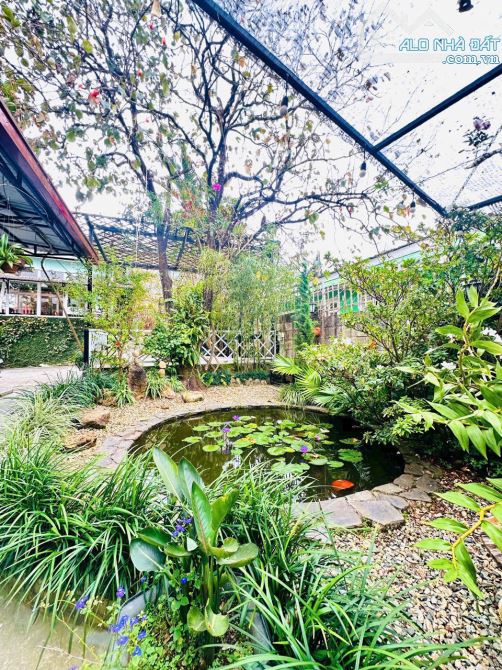 CĂN NHÀ XƯA  NƠI TẬP TRUNG NHIỀU BIỆT THỰ PHÁP CỔ ĐÀ LẠT CÔ GIANG 38 TỶ