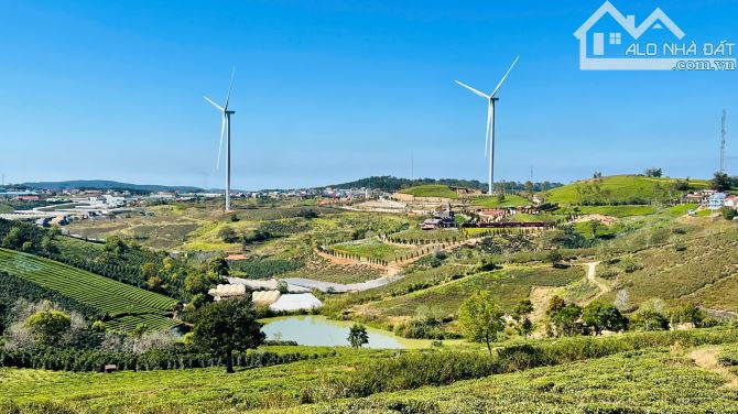 Bán đất săn mây Cầu Đất, view hồ. Các điểm KDL đồi chè, vườn hoa EU, Novaworld, trạm hành