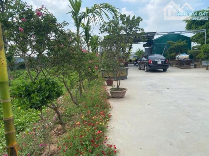 Cần Bán 3000m Nhà Vườn Nông Nghiệp Văn Bình, Sổ Đỏ Chính Chủ Vuông Đẹp_ Giá: 13 Tỷ.