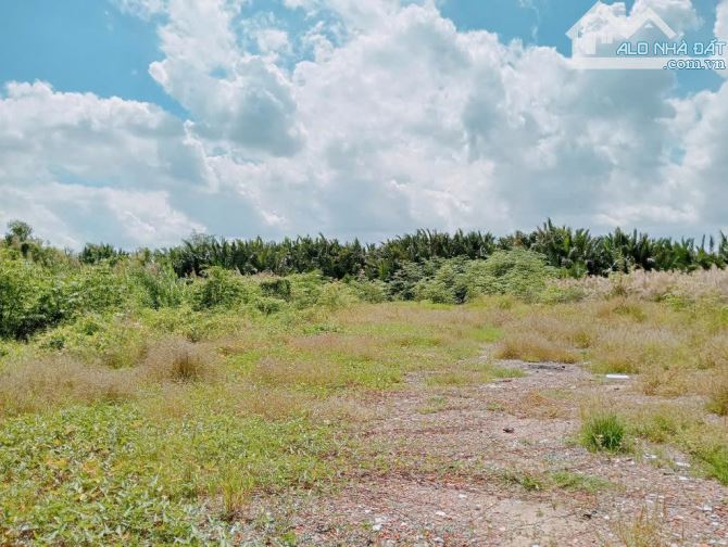 BÁN ĐẤT, MẶT TIỀN ĐƯỜNG NGUYỄN BINH, NHÀ BE,(3155M2 ) - 1