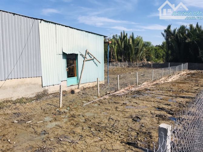 242m2 1ty050 mặt tiền liên ấp 2-3,nhà bè.oto tận nơi,nền cao ráo.. - 1