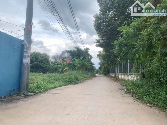 Bán 2 sào đất biệt thự view sông Hiệp Hoà, tp Biên Hoà giá chỉ 6tr/m2 - 1