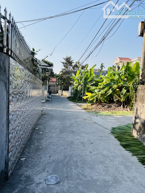 Bán đất + villa 2 tầng tại An Trì, Hùng Vương, Hồng Bàng - 1