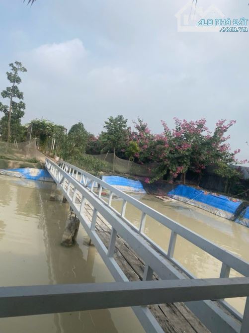 Cần Bán 3000m Nhà Vườn Nông Nghiệp Văn Bình, Sổ Đỏ Chính Chủ Vuông Đẹp_ Giá: 13 Tỷ. - 1