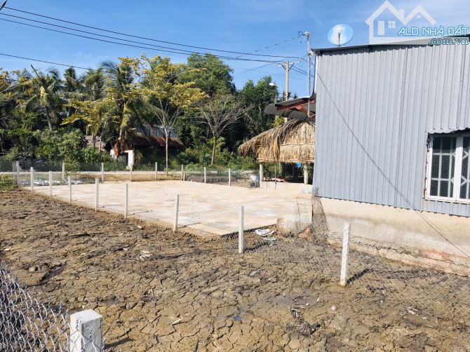 242m2 1ty050 mặt tiền liên ấp 2-3,nhà bè.oto tận nơi,nền cao ráo.. - 2