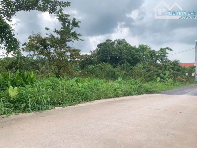 Bán 2 sào đất biệt thự view sông Hiệp Hoà, tp Biên Hoà giá chỉ 6tr/m2 - 2