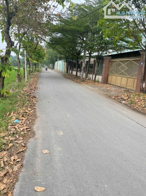 Bán nhà 2 mặt tiền 31x32m giá 19 tỷ Đường Nhị Bình 4, Hóc Môn - 2