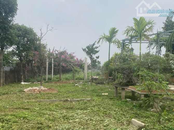 Cần Bán 3000m Nhà Vườn Nông Nghiệp Văn Bình, Sổ Đỏ Chính Chủ Vuông Đẹp_ Giá: 13 Tỷ. - 2