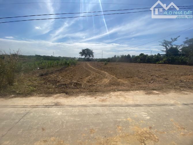 bán lô đất thổ cư 123m2 đất cso 5m mặt tiền đường bê tong chỉ với giá 550 triệu - 3