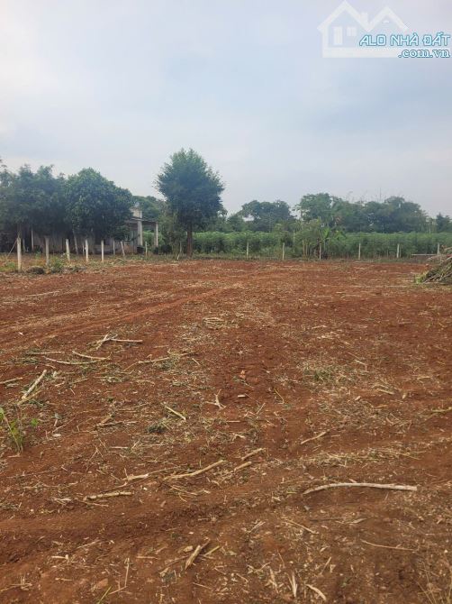 Cần bán 2.650m2 đất thổ cư mặt tiền đường nhựa đến 37m, sẵn 200m2 thổ cư giá đầu tư - 3