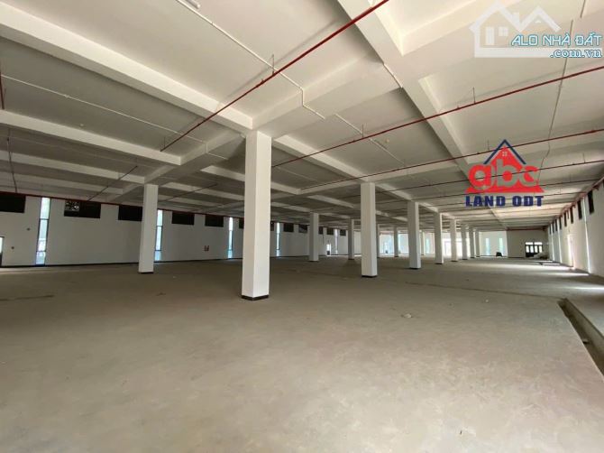 4.5usđ/m2/tháng .Xưởng KCN dệt may cho thuê ,DT :9.700m2 .PCCc tự động,Vị trí siêu đẹp .