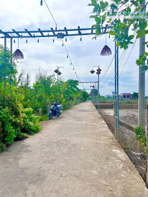 Thổ cư ngay chợ Bình Lãng. Mặt tiền đường đan bự
