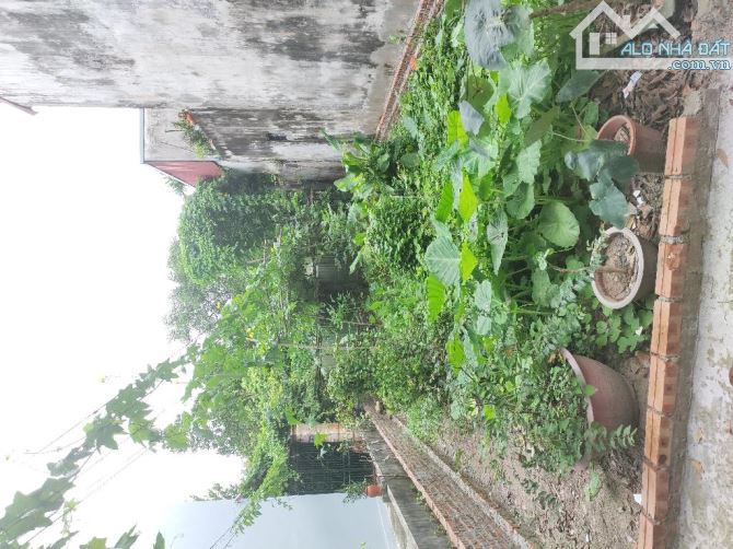 ĐẤT ĐÔNG MỸ THANH TRÌ NGÕ Ô TÔ 40M2 MẶT TIỀN RỘNG 5M 3,6 Tỷ - 1