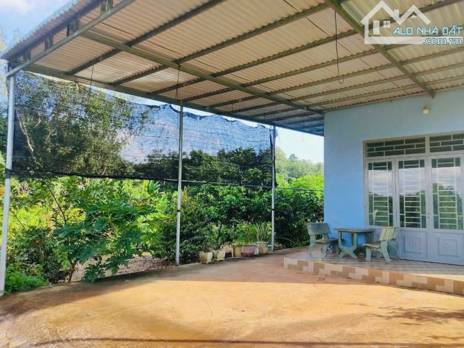 Bán nhà vườn 1288m2 sẵn 40 cây sầu riêng giá chỉ 1tỷ89 tại Hàng Gòn, Long Khánh - 1