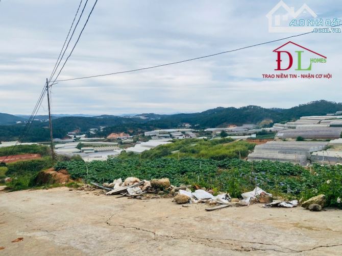 Cuối năm bán gấp lô đất tâm huyết 270m2 view thông không che chắn, gần trung tâm Đà Lạt - 1