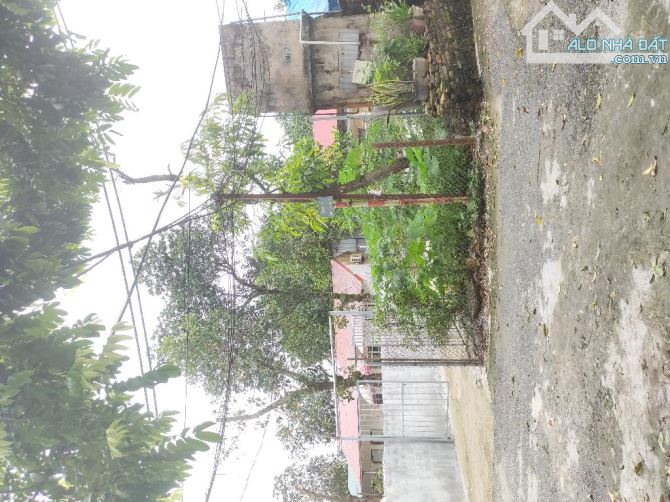 ĐẤT ĐÔNG MỸ THANH TRÌ NGÕ Ô TÔ 40M2 MẶT TIỀN RỘNG 5M 3,6 Tỷ - 2