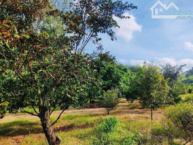 Bán nhà vườn 1288m2 sẵn 40 cây sầu riêng giá chỉ 1tỷ89 tại Hàng Gòn, Long Khánh - 2
