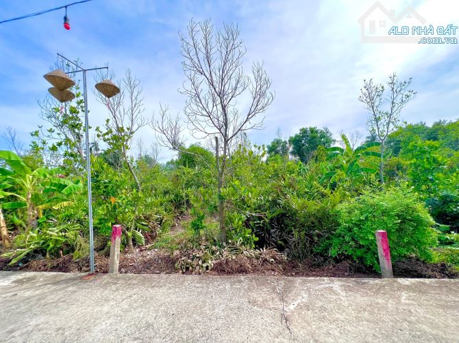 Thổ cư ngay chợ Bình Lãng. Mặt tiền đường đan bự - 2