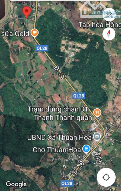 Cần tiền bán gấp-Đất lô 2 QL28-Thuận Hoà-Hàm Thuận Bắc-Bình Thuận-DT 3.100m2CLN - 3