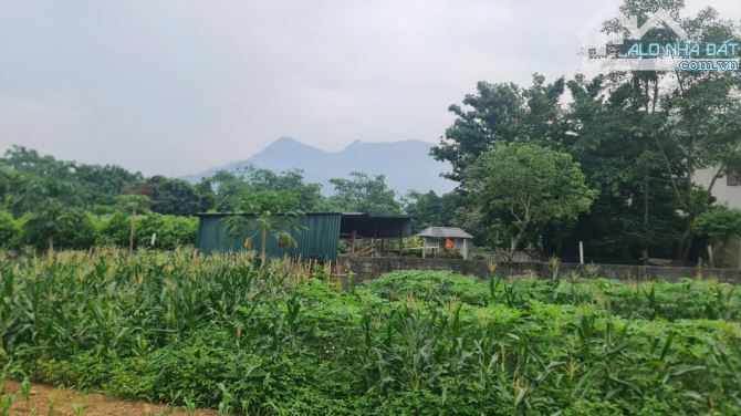 Bán đất Ao Vua, Xã Tản Lĩnh Ba Vì, gần Yên Bài 1695m, 200m TC, gần đường lớn, chỉ 2.89tỷ - 3