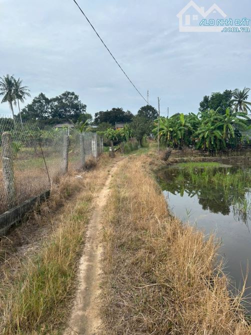 Đất mặt tiền Sông Dinh Tân An Thị xã Lagi giữa trung tâm cách Nguyễn Bỉnh Khiêm 100m - 3