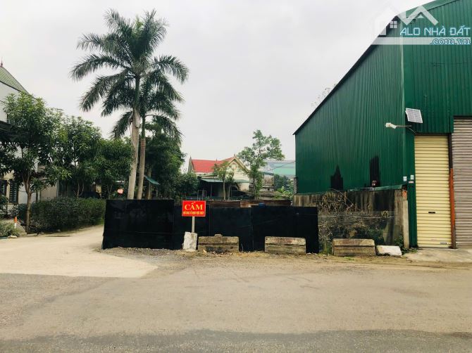 Đất phường Quán Bàu - mặt đường Xuân Thái Cần bán ô đất mặt đường Xuân Thái, từ ô đất giữa - 3