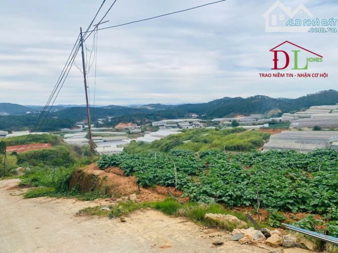 Cuối năm bán gấp lô đất tâm huyết 270m2 view thông không che chắn, gần trung tâm Đà Lạt - 4